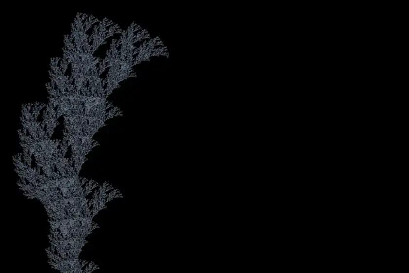 A branching plant form at a high iteration depth